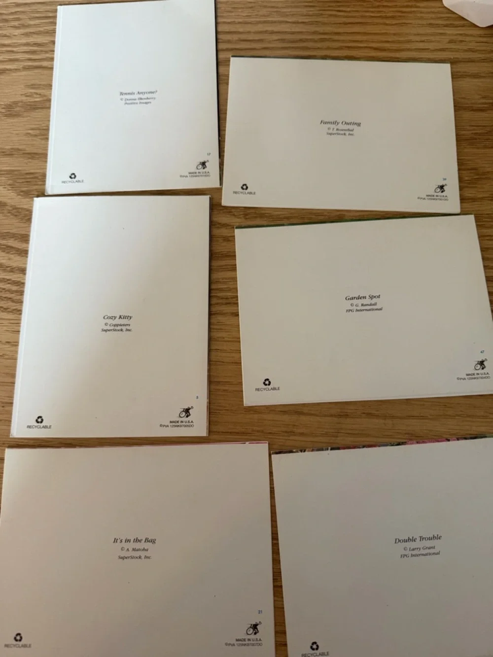 Vintage PVA Animal Greeting Cards Set of 6 Puppies & Kittens With Envelopes